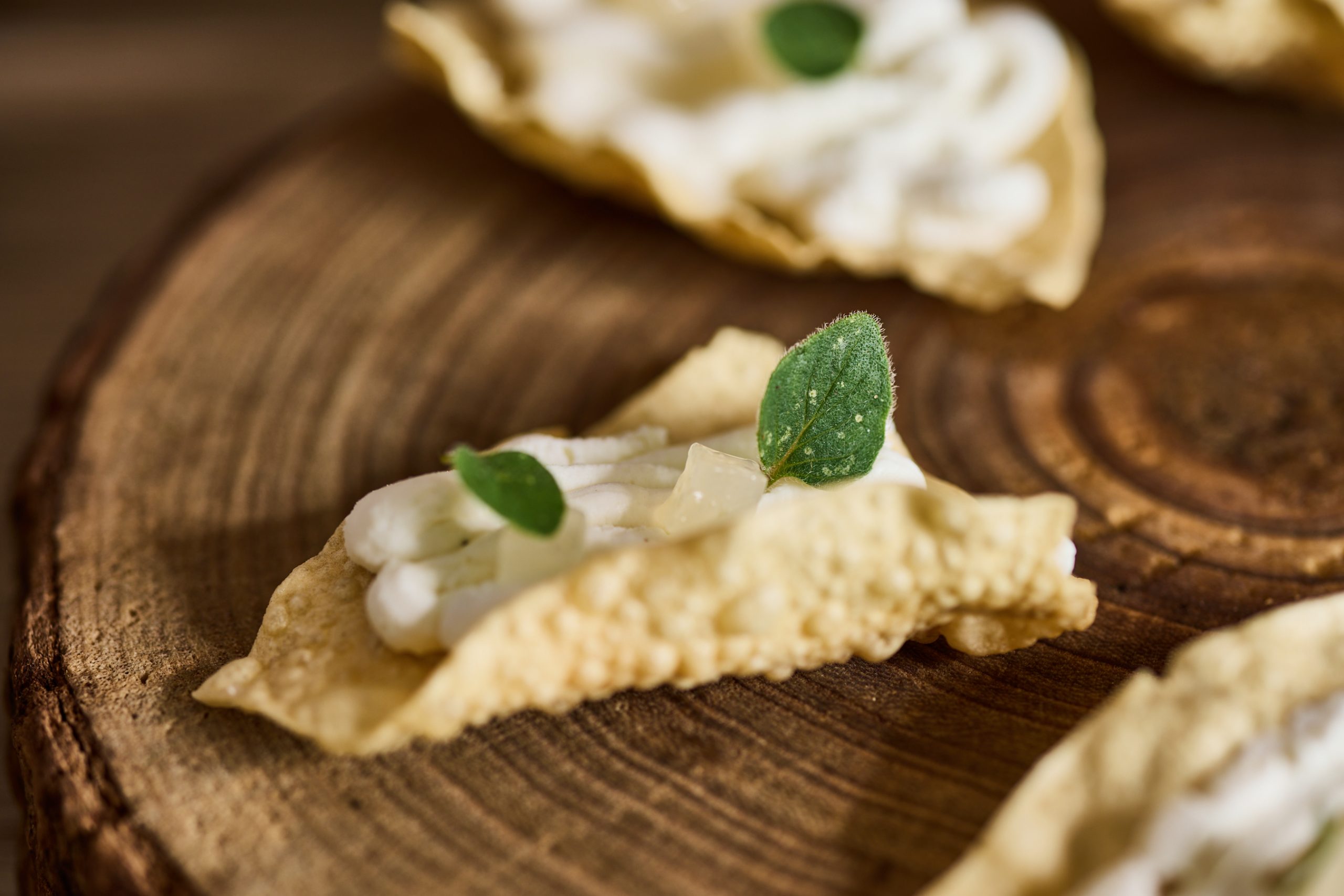 Vaxman&Chefliorshva104 (1)